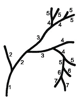 Centrifugal ordering